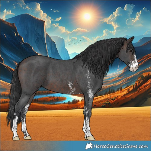 Horse Color:Bay Sabino 