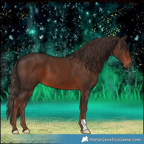 Horse Color:Liver Chestnut 
