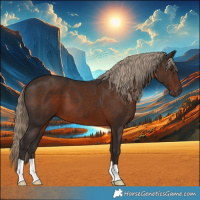 Horse Color:Liver Chestnut 
