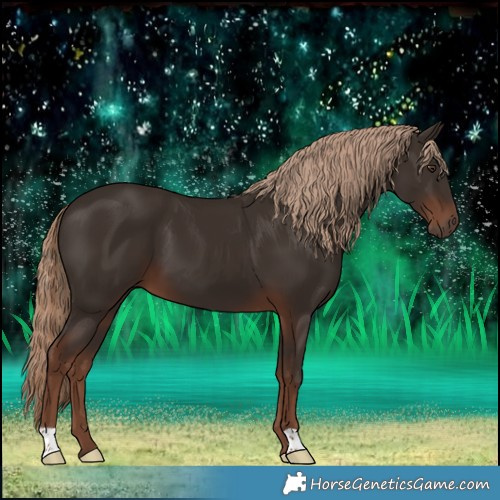 Horse Color:Liver Chestnut 