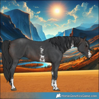 Horse Color:Brown Sabino