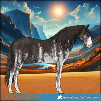 Horse Color:White Spotted Liver Chestnut
