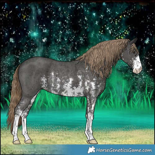 Horse Color:Liver Chestnut Sabino Rabicano 
