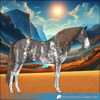 Horse Color:Liver Chestnut Sabino