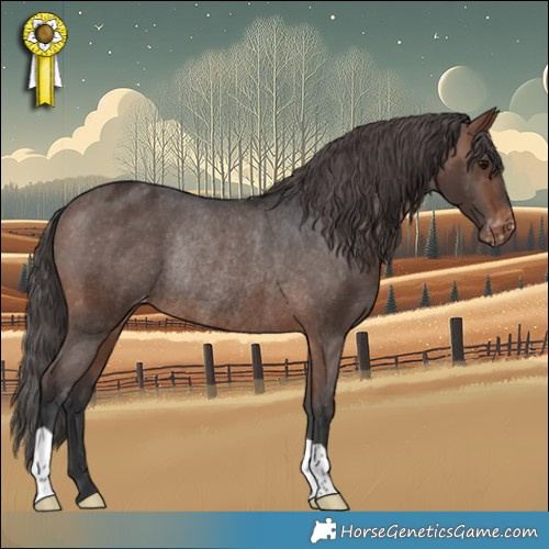 Horse Color:Brown Appaloosa Rabicano 