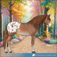 Horse Color:Chestnut Sabino Blanket Rabicano 