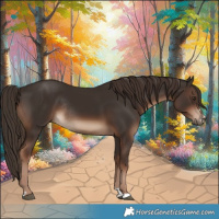Horse Color:Liver Chestnut Rabicano 