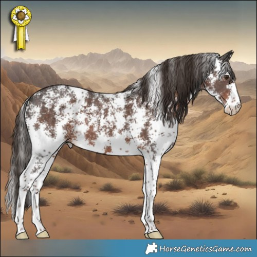 Horse Color:Liver Chestnut Sabino 
