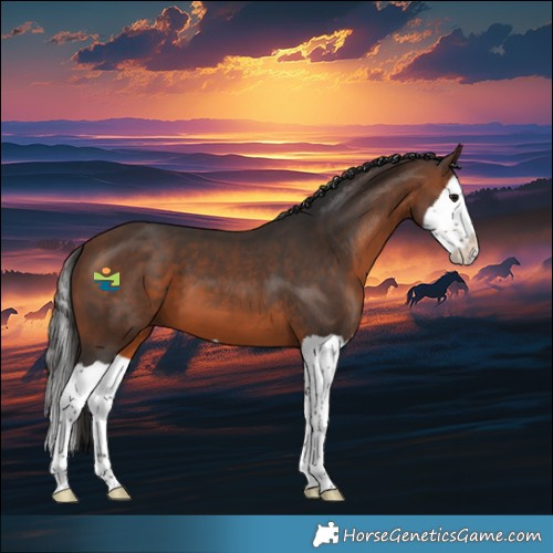 Horse Color:Brown Splash 