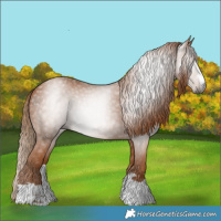 Horse Color:Gray Chestnut