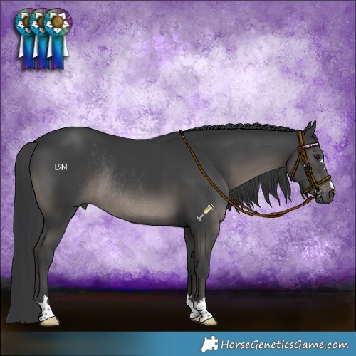 Horse Color:Black Rabicano 