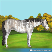 Horse Color:Smoky Blue Onyx Sabino 