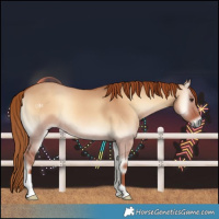 Horse Color:Red Dun Onyx