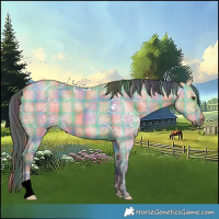 Horse Color:Platinum Nacre Plaid  Bay Ice Dun Rabicano 
