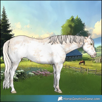 Horse Color:Plaid  Silver Classic Champagne Ice Dun Splash Frame 