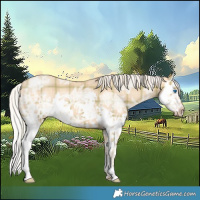 Horse Color:Plaid  Silver Classic Champagne Ice Dun Splash 
