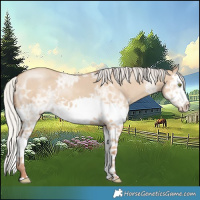 Horse Color:Silver Classic Champagne Ice Dun Splash 