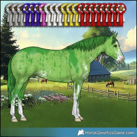 Horse Color:Watercolor Grullo Sabino Brindle 