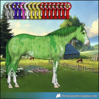 Horse Color:Watercolor Grullo Sabino Brindle 