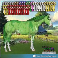 Horse Color:Watercolor Grullo Sabino Brindle 