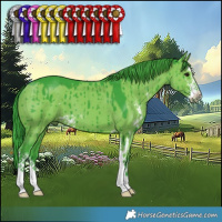 Horse Color:Watercolor Grullo Sabino Brindle
