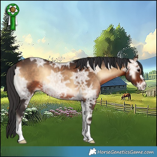 Horse Color:Brown Ice Onyx 