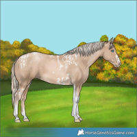 Horse Color:Chocolate Palomino Pearl Tobiano Frame  and Chocolate Palomino Pearl Tobiano Frame 