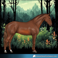 Horse Color:Chestnut 