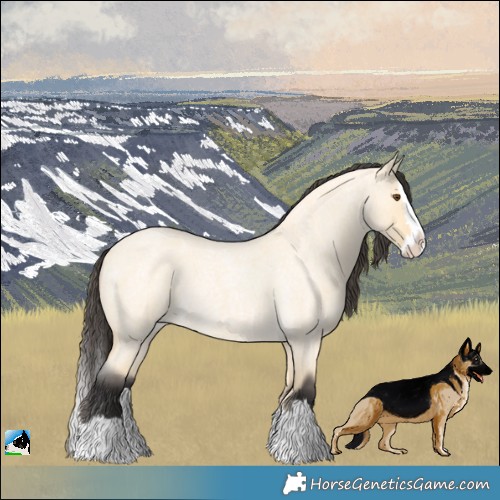 Horse Color:Buckskin Roan Dun Splash 