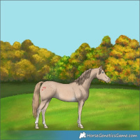 Horse Color:Perlino Tobiano