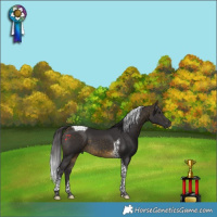 Horse Color:Buckskin Tobiano 