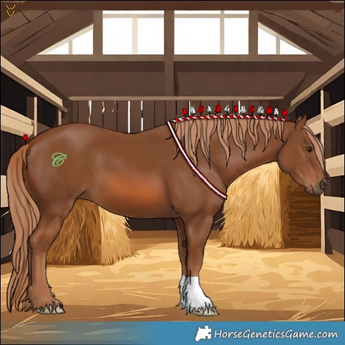 Horse Color:Chestnut 