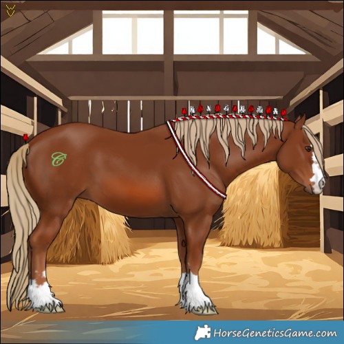 Horse Color:Chestnut 