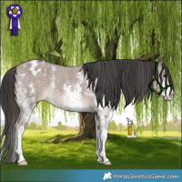 Horse Color:Liver Red Dun Sabino Varnish 