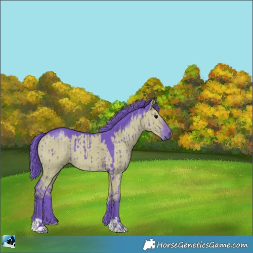 Horse Color:Watercolor Grullo Brindle 