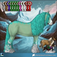 Horse Color:Watercolor Grullo Sabino