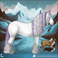 Horse Color:Watercolor Grullo Mushroom Sabino Brindle 