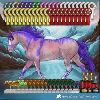 Horse Color:Watercolor Grullo Sabino