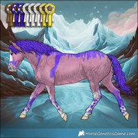 Horse Color:Watercolor Grullo Sabino 