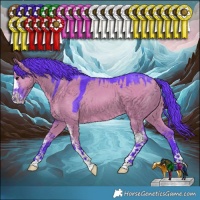 Horse Color:Watercolor Grullo Sabino 