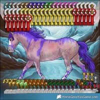 Horse Color:Watercolor Grullo Sabino 