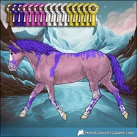 Horse Color:Watercolor Grullo Sabino