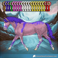 Horse Color:Watercolor Grullo Sabino 