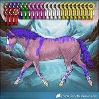 Horse Color:Watercolor Grullo Sabino 