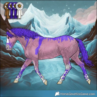 Horse Color:Watercolor Grullo Sabino 