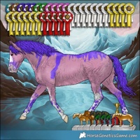 Horse Color:Watercolor Grullo Sabino 
