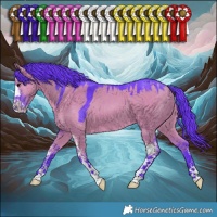 Horse Color:Watercolor Grullo Sabino 