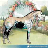 Horse Color:White Spotted Buckskin Dun Splash 