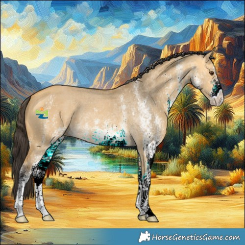 Horse Color:White Spotted Buckskin Dun 