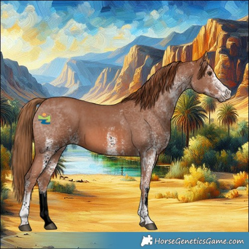 Horse Color:White Spotted Chestnut 